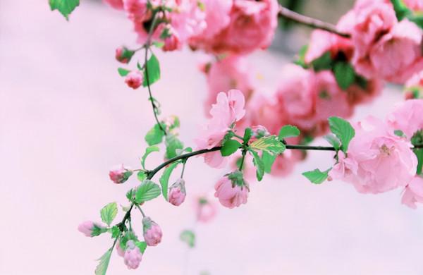 做人要低調，越是炫耀這些東西，福氣越少