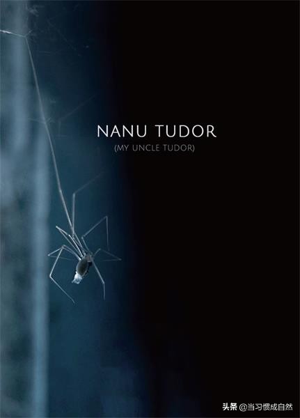 2021這些獲得大獎的片子,很多人還沒聽過 2021這些獲得大獎的片子,很多人還沒聽過