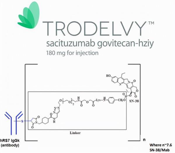 三陰性乳腺癌重磅新藥無論初治HR/HER2狀態如何,均顯著改善生存 三陰性乳腺癌重磅新藥無論初治HR/HER2狀態如何,均顯著改善生存