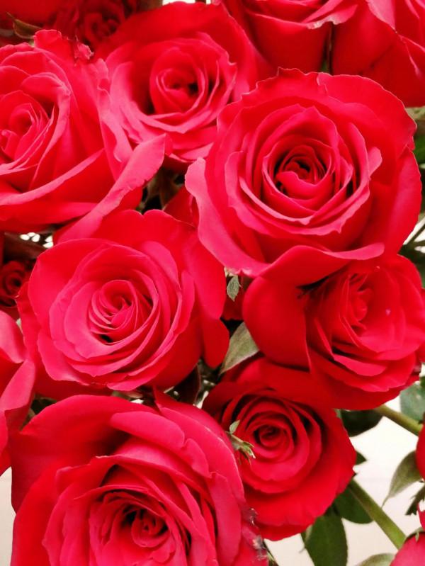 成年人都是在崩潰的邊緣徘徊,在自愈和治癒中繼續前行(六) 成年人都是在崩潰的邊緣徘徊,在自愈和治癒中繼續前行(六)