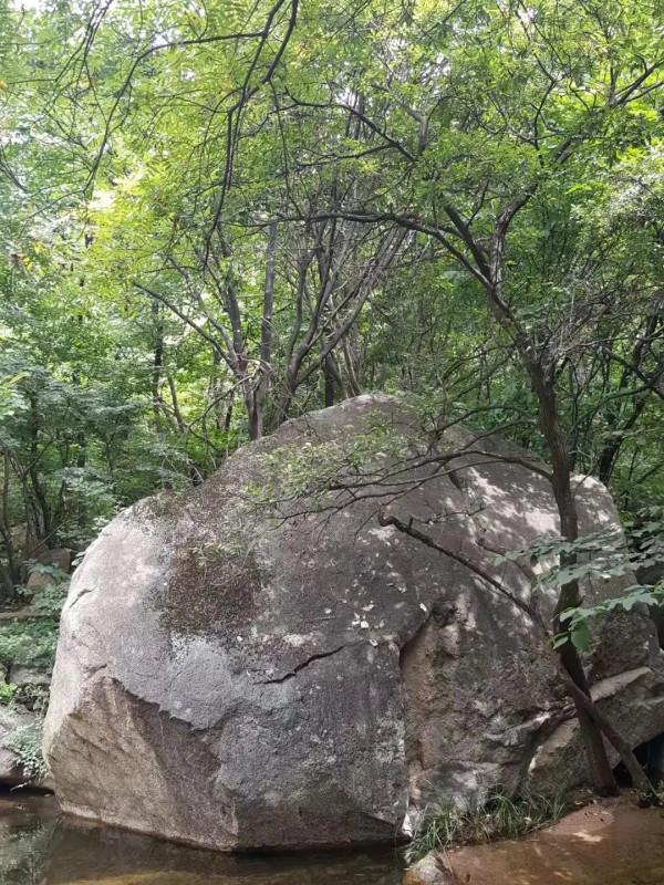 來一次說走就走的旅行｜跟我一起去遊五朵山
