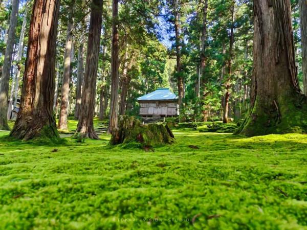 逛逛日本 &vert; 一券在手 遊走日本升龍道夢之旅