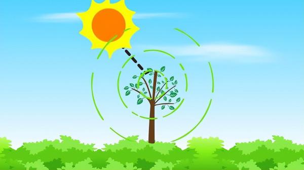 楊培東的偉大成就：研發人工光合作用，讓二氧化碳變成汽油、藥品