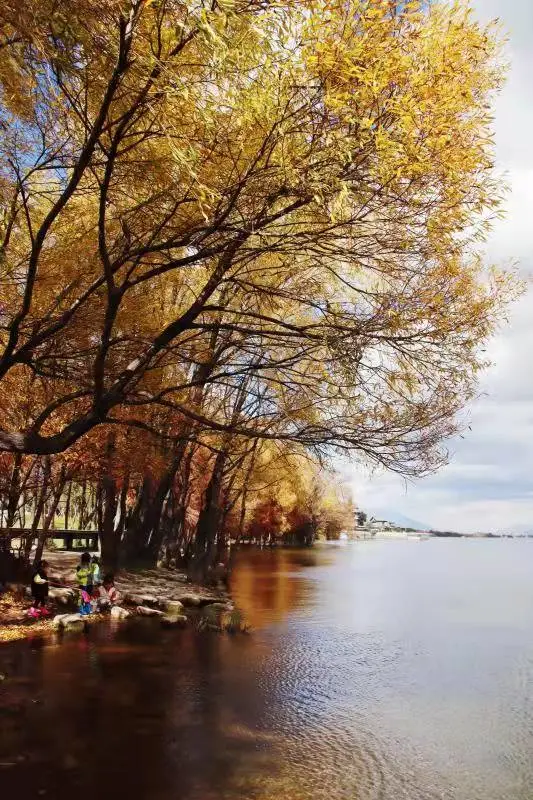 冬天的洱海生態廊道,美出新高度 冬天的洱海生態廊道,美出新高度