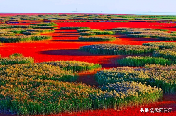 國內34省區最值得去的地方，個個都美得有魔力，此生不去心不安