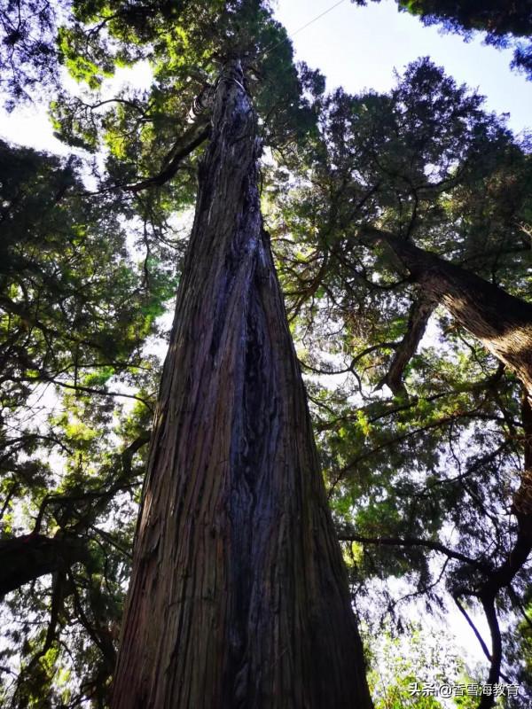 七下數學:不等式(組)中確定相關引數的取值範圍 七下數學:不等式(組)中確定相關引數的取值範圍