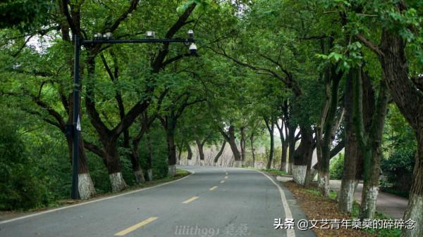 杭州出發18分鐘到達,海寧觀潮美食遊玩攻略 杭州出發18分鐘到達,海寧觀潮美食遊玩攻略