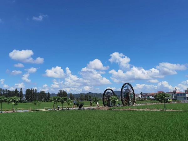 中國最美鄉村書屋,建在稻田邊的玻璃房子 中國最美鄉村書屋,建在稻田邊的玻璃房子