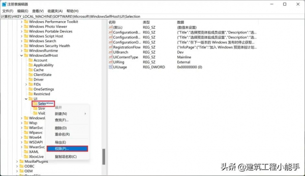 教程：Windows 11如何強制由Dev轉為Beta渠道