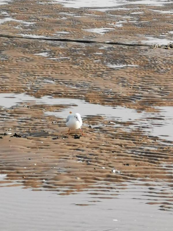 人活一世，要有“三大”
