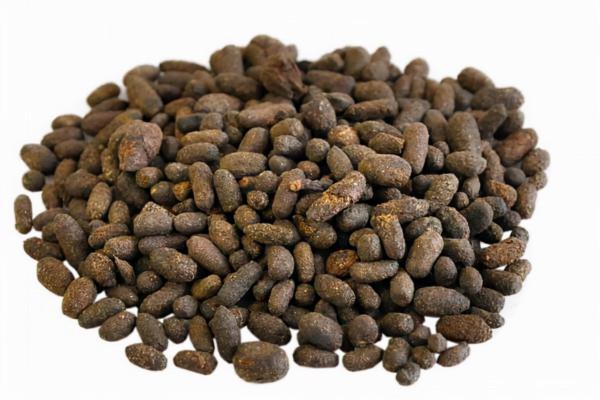 小學課本上的“寒號鳥”是什麼鳥，答案意外。還有它的便便真驚人