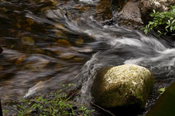 陰天過路石門森林公園
