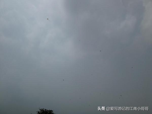 處在淡水水域的海鷗島，因外形輪廓相似而得名，其實並沒有海鷗