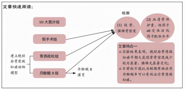 丹酚酸B干預去卵巢骨質疏鬆模型大鼠的生物學變化及機制