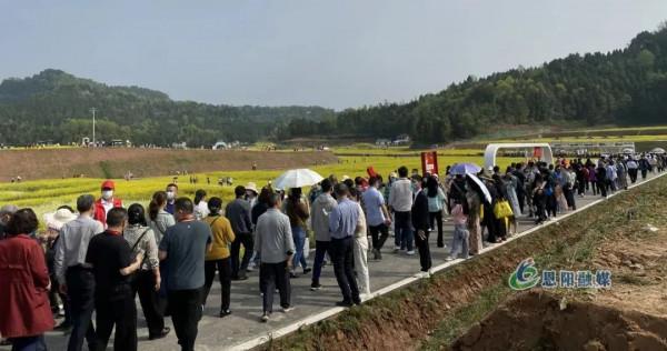 「圖集」直擊恩陽首屆油菜花節現場