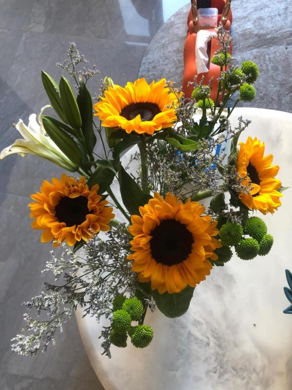 買花容易養花難啊 買花容易養花難啊