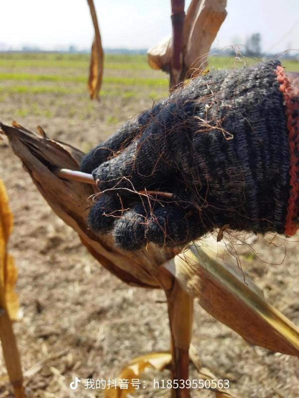 玉米地被淹，我″撿了&quot;一臺洗衣機