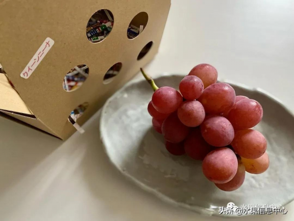 200元1斤,葡萄界中的勞斯萊斯,妮娜皇后究竟如何? 200元1斤,葡萄界中的勞斯萊斯,妮娜皇后究竟如何?