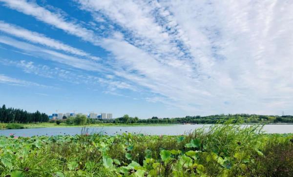 從俗諺中瞭解老北京