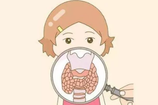 甲減粘液性水腫患者可以吃些什麼？