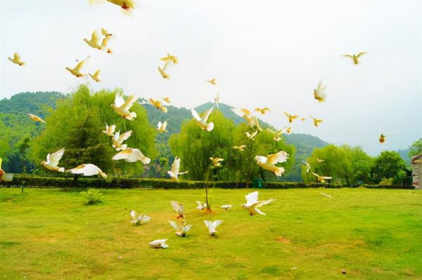 人少景美|9個寶藏旅遊地,深秋初冬一網打盡 人少景美|9個寶藏旅遊地,深秋初冬一網打盡