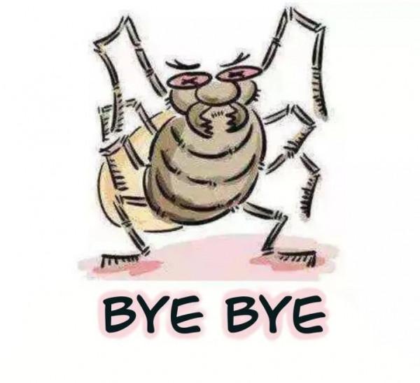 【衛生檢疫】草爬子的自述