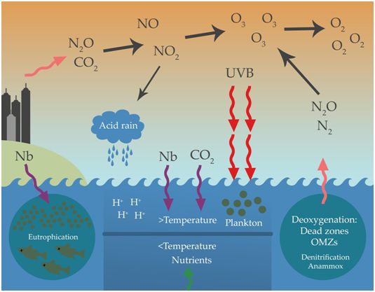 Science：研究發現海洋氨氧化古菌能在黑暗中產生氧氣
