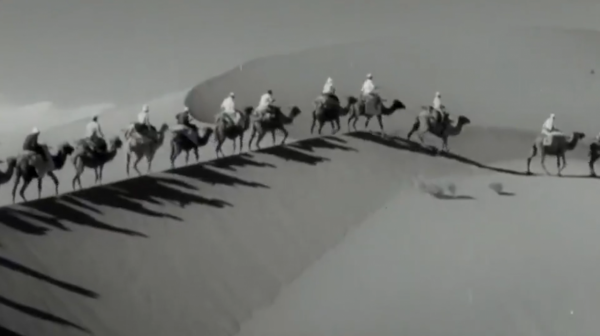 沙漠有救了!胡八一真人版穿越死亡沙海,找到沙漠終極與治沙魔方 沙漠有救了!胡八一真人版穿越死亡沙海,找到沙漠終極與治沙魔方