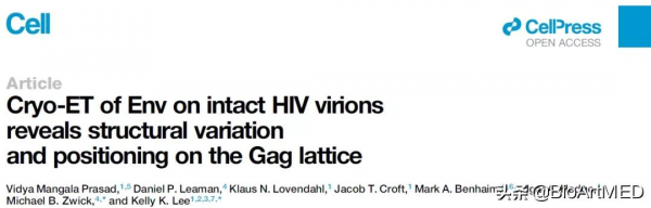 Cryo-ET揭示天然HIV病毒粒子結構