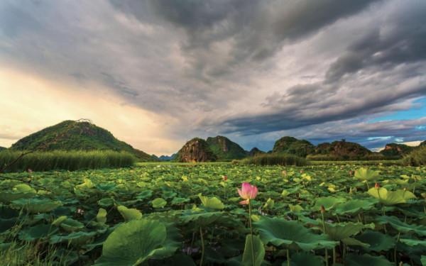 雲南水鄉普者黑:以靈韻引爆激情的人間仙境 雲南水鄉普者黑:以靈韻引爆激情的人間仙境