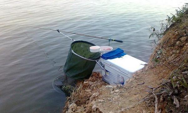 這些因素會導致魚兒不開口，釣魚人千萬要避開