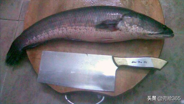 廣東一男子垂釣的途中，帶著孩子下塘渾水摸魚，結果卻哭笑不得