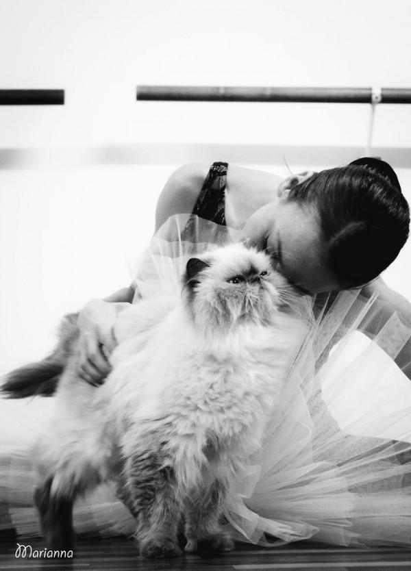 那些人和貓的親密瞬間，還有誰會不喜歡貓呢？