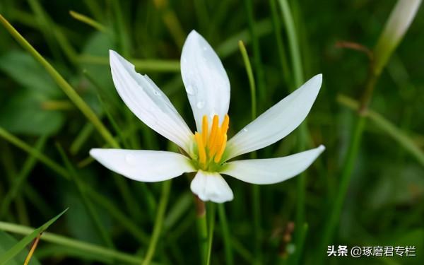 一種高階的人生活法：慢