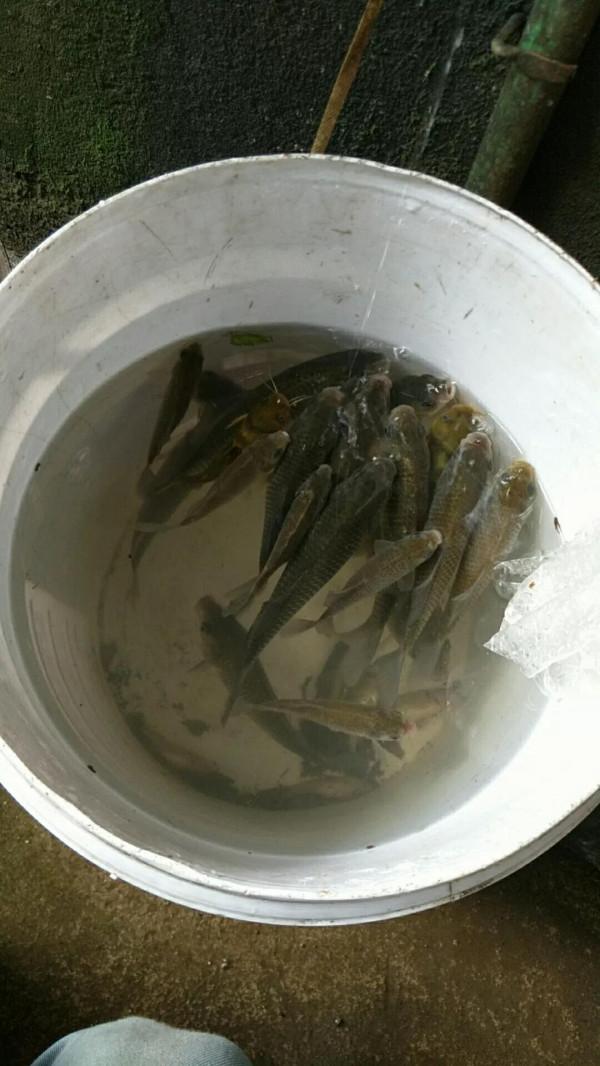 感謝有你的陪伴