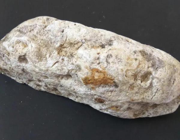 20張活久見照片，看完漲知識