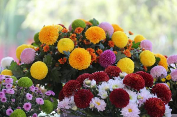 7天接待遊客近30萬人次!河南開封清明上河園“十一奇妙遊·演藝狂歡節”完美收官 7天接待遊客近30萬人次!河南開封清明上河園“十一奇妙遊·演藝狂歡節”完美收官