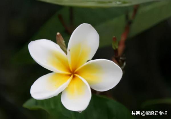 一種高階的人生活法：慢