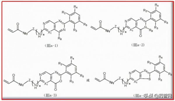 IP佈局近飽和,FGFR4抑制劑研發的進與退 IP佈局近飽和,FGFR4抑制劑研發的進與退