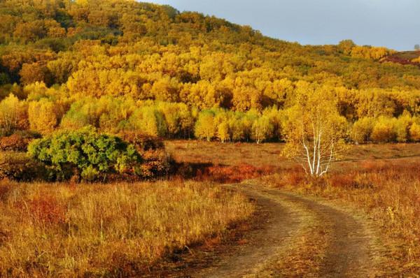11月，國內這9個絕美山水之地，美成了一幅畫！隨手一拍都是桌布