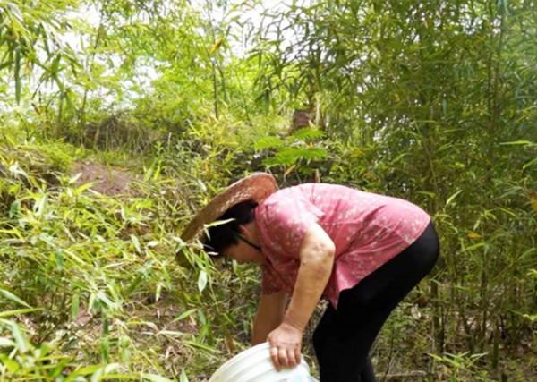 11年前，浙江農村奶奶收養了一個黑人小男孩巴比，如今怎麼樣了？