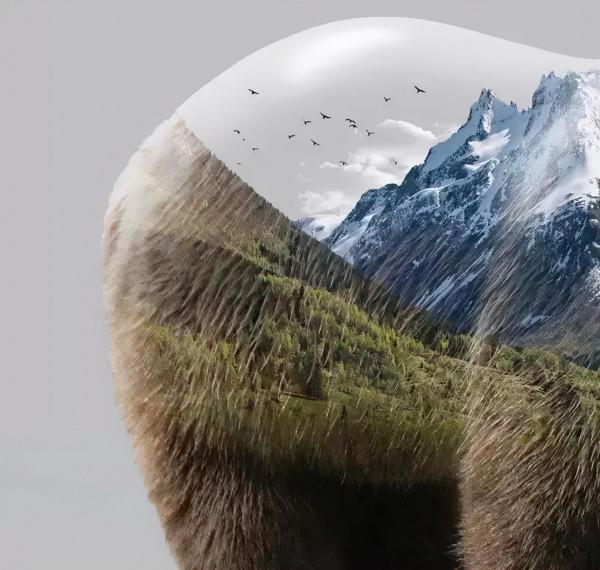 救命!國寶熊貓困在PS裡面了 救命!國寶熊貓困在PS裡面了