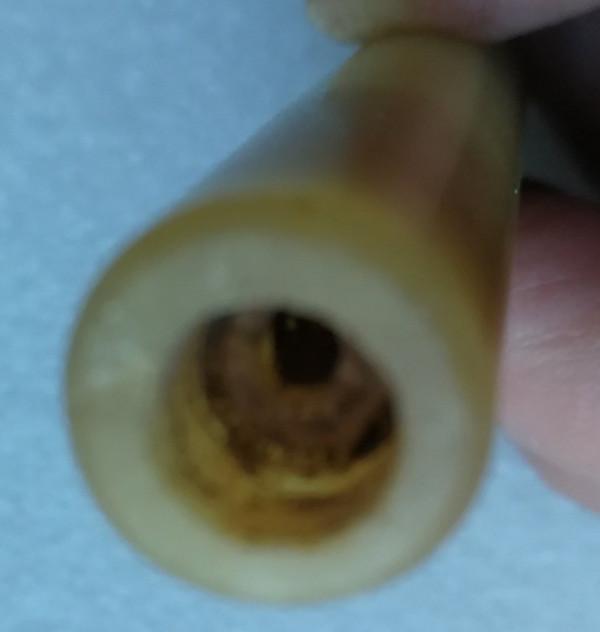 老菸袋嘴的掰根特徵