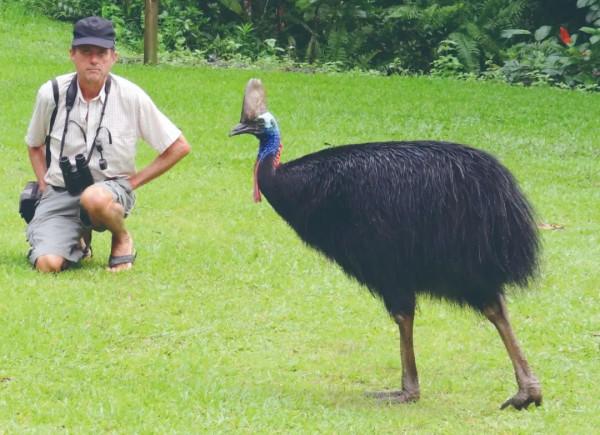 世界上最大的鳥類