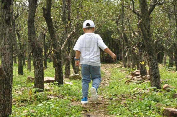 這是一雙適合中大童的跑鞋,輕彈透氣,旋鈕繫帶更方便穿脫 這是一雙適合中大童的跑鞋,輕彈透氣,旋鈕繫帶更方便穿脫