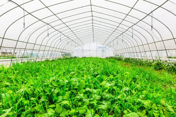 “百病皆起於寒”,身體五處受寒的表現,以及對應的解決方法分享 “百病皆起於寒”,身體五處受寒的表現,以及對應的解決方法分享