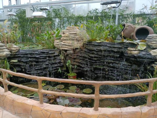 週末遛娃好去處，中科院植物研究所