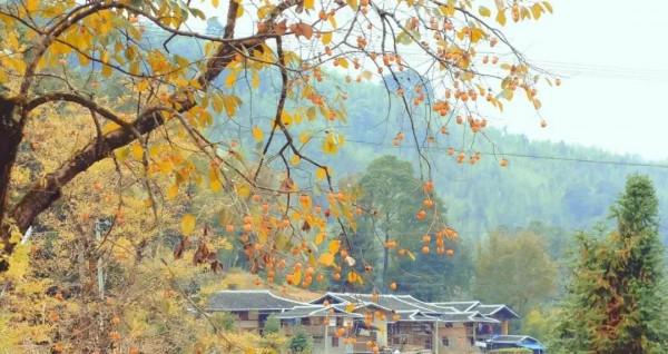 2022年旅行計劃,按著月份走,一鍵解鎖各大美景,快快收藏 2022年旅行計劃,按著月份走,一鍵解鎖各大美景,快快收藏