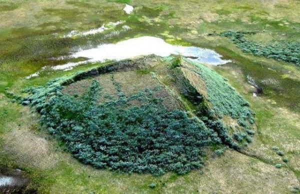 地球異變？西伯利亞出現10000多個土球，科學家：這是一種警示