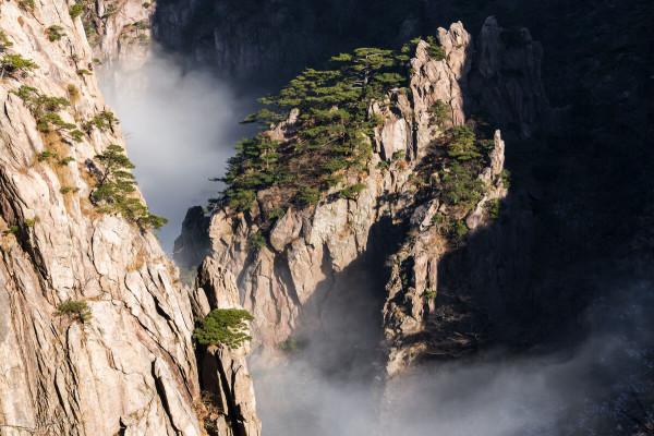 這篇文章內容詳實，&OpenCurlyDoubleQuote;兩極之間&rdquo;，不斷加深體悟